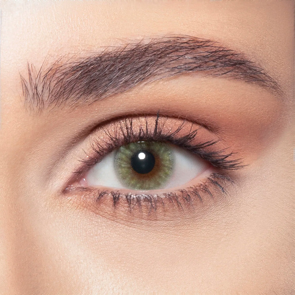 Bella Lenses - Jade Green