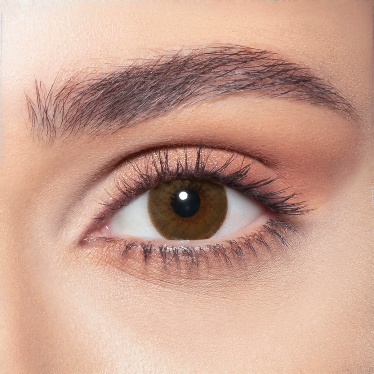 Bella Lenses - Brown Shadow