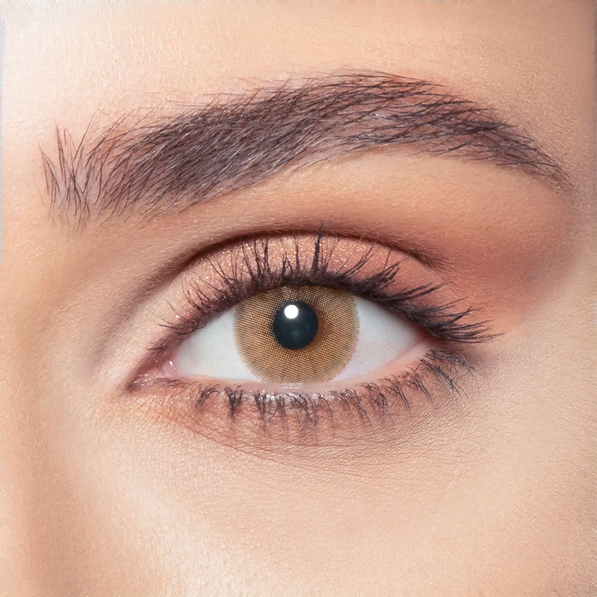 Bella Lenses - Wild Honey