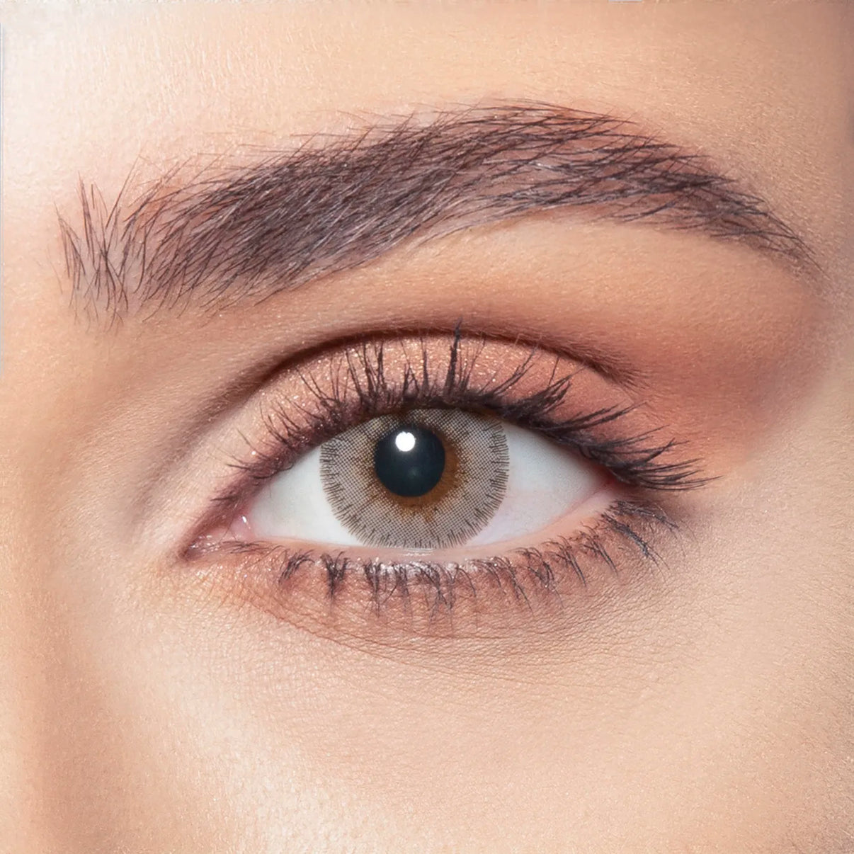 Bella Lenses - Amber Gray