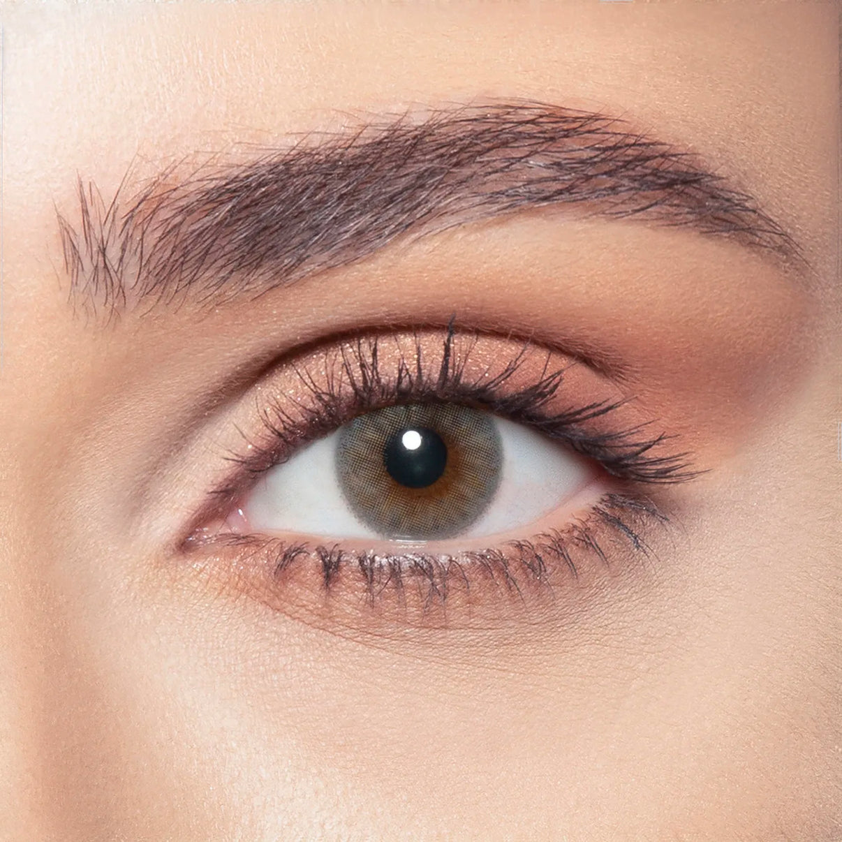 Bella Lenses - Wood Leaf