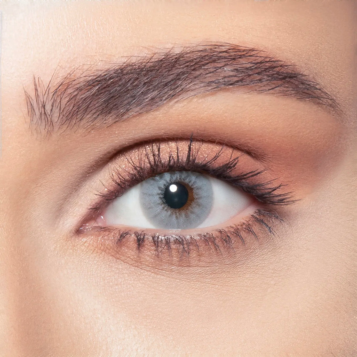 Bella Lenses - Gray Shadow