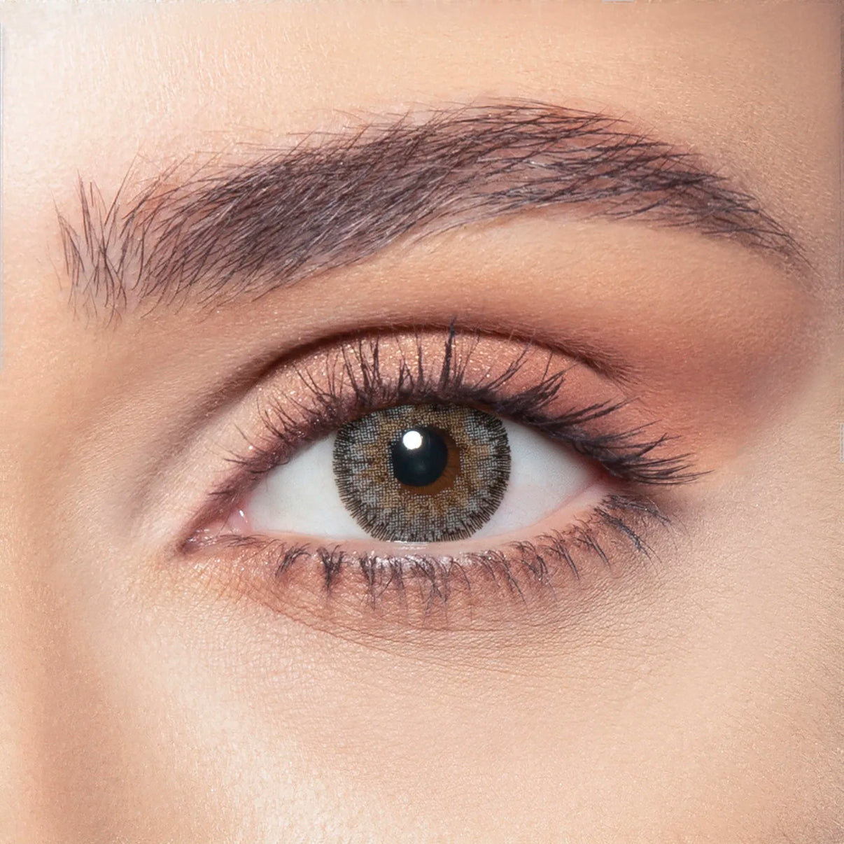 Bella Lenses - Contour Grey