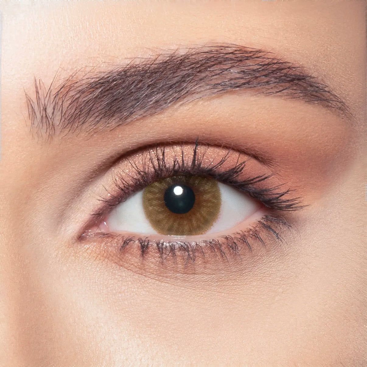 Bella Lenses - Diamond Brown